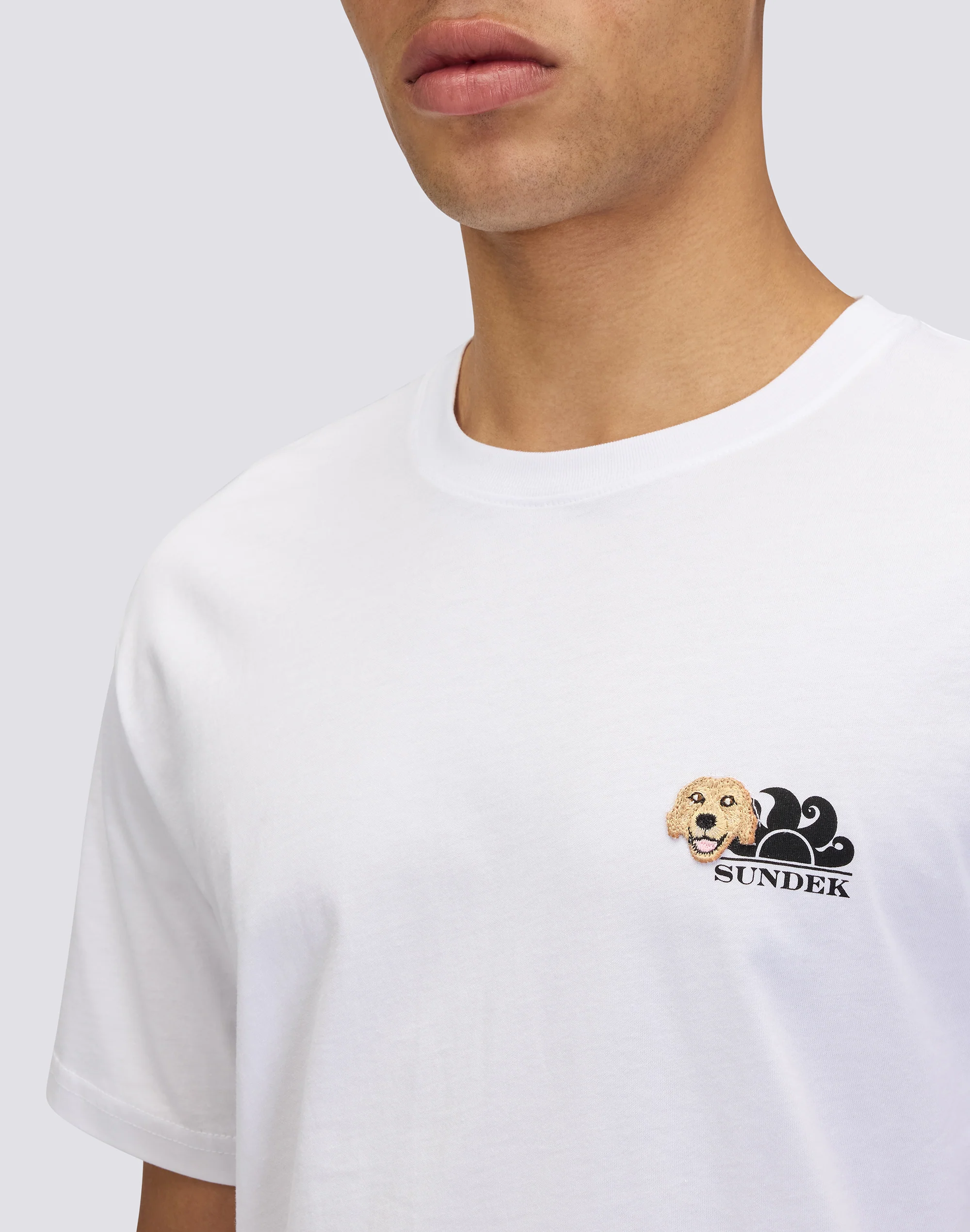 T-SHIRT CAPSULE PELO - LOOKOUT GOLDEN RETRIEVER