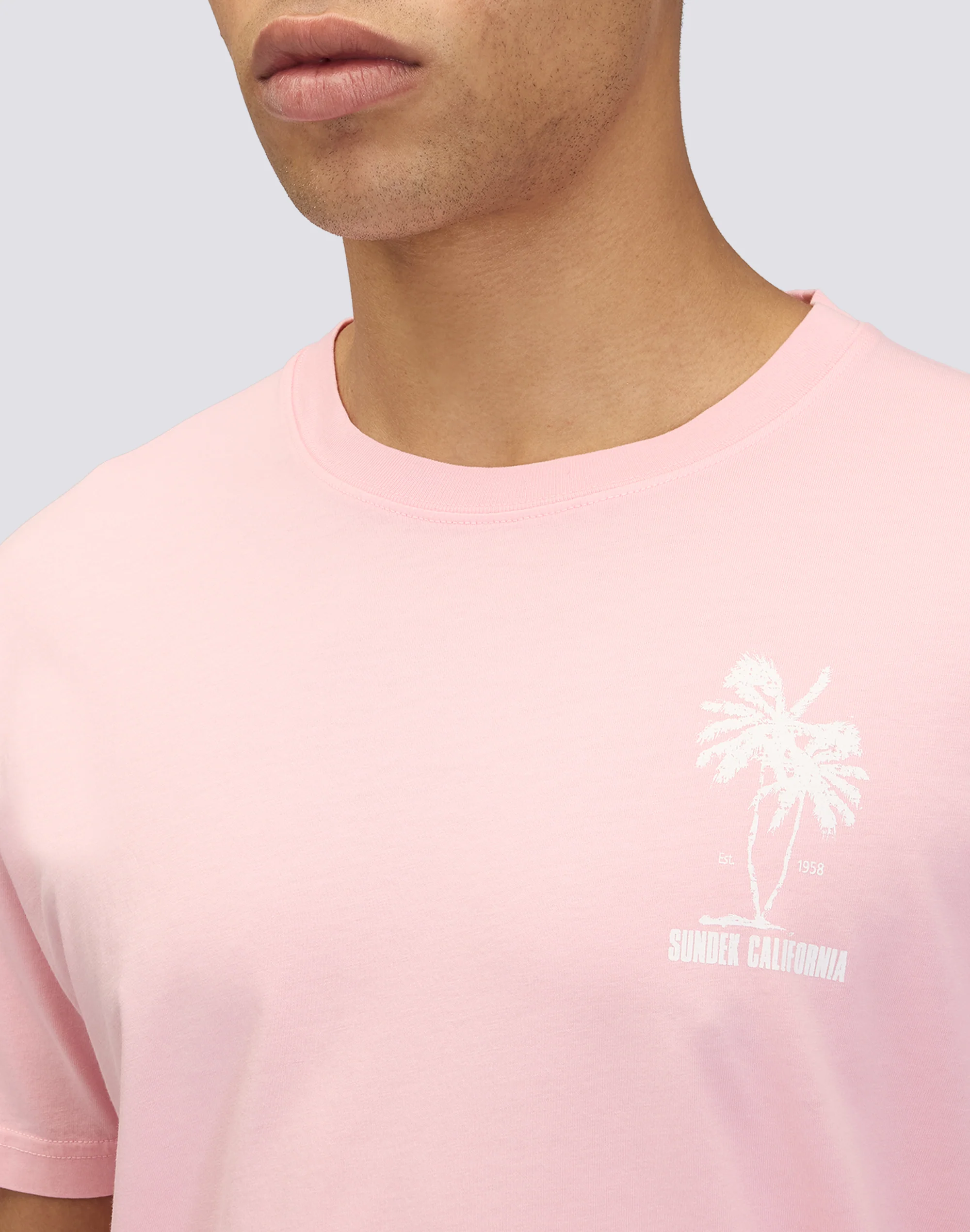 T-SHIRT UOMO A GIROCOLLO CON STAMPA PALMA - Image 4